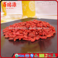 Dried fruit goji berry dried goji berry siyah goji berry Sulfur Free